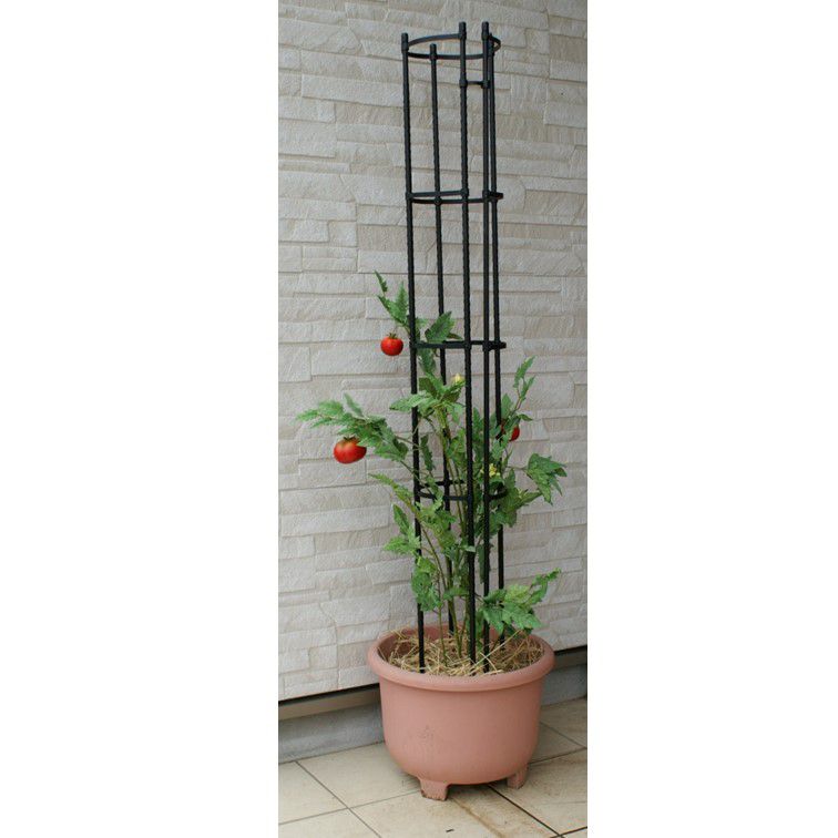 Easy Trellis - Japanese trellis can support planting in the pot